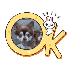 [LINEスタンプ] 動くこてつスタンプ