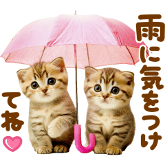 [LINEスタンプ] 梅雨初夏♡にゃんこ