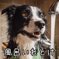 [LINEスタンプ] 犬が言うから仕方ない。