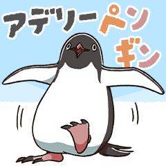[LINEスタンプ] アデリーペンギンのまいにち