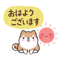 [LINEスタンプ] 【大人の気遣い】敬語♡まるまる豆柴