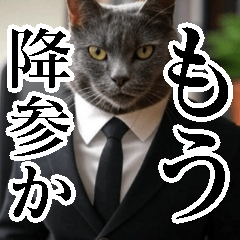 [LINEスタンプ] 猫ミーム【毎日使える・スーツ猫・煽り】