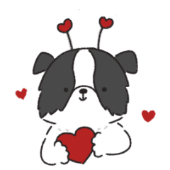 [LINEスタンプ] もふもふボーダーコリーの使えるスタンプ