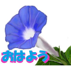 [LINEスタンプ] 草花開花の会話スタンプ