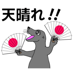 [LINEスタンプ] アシカの日常生活のスタンプ