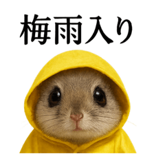 [LINEスタンプ] 【梅雨入り】雨の日のニホンモモンガの会話