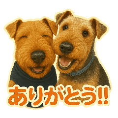 [LINEスタンプ] エアデールテリアのブン太すたんぷ