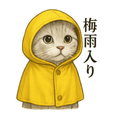 [LINEスタンプ] 【梅雨入り】雨の白スコティッシュホールド