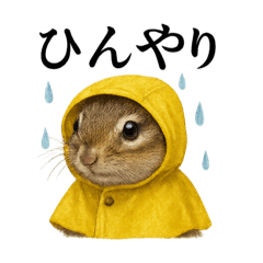 [LINEスタンプ] 【梅雨入り】雨の日のシマリスの会話