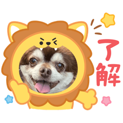 [LINEスタンプ] こてつスタンプnewver.
