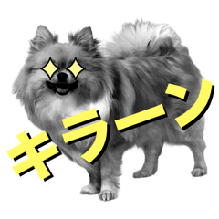 [LINEスタンプ] 毎日ポテチに癒される【第5弾】