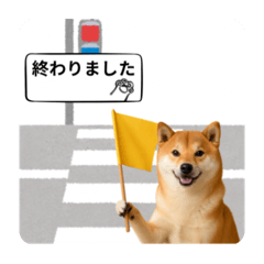 [LINEスタンプ] 登校班グループで使える柴犬スタンプ