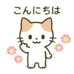 [LINEスタンプ] 茶色と白の猫ちゃん日本語バージョン