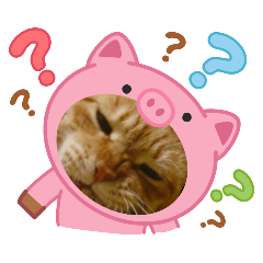 [LINEスタンプ] My Lovely Cat’s